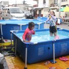 Piscina. Son  una opción para divertirse, pero representan desperdicio de agua.