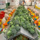 Producción. Un grupo de trabajadores alista el brócoli para empacarlo.