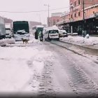 Ouarzazate. El temporal de nieve afecta a amplias zonas del país.