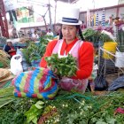 Cuenca. En la capital azuaya se ofertan mucho las plantas medicinales.