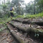 Paso. Una persona mientras recorre Venta de Cruces, en medio de la tupida selva panameña.