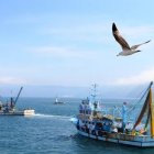 El navío lleva incomunicado desde el 18 de febrero.