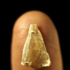 Puntas diminutas hechas por el Homo sapiens hace 54.000 años y utilizadas como punta de flecha.