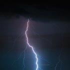 Los rayos y la luna bajo la lente de Gabo.