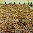 Fotografía cedida por el gobierno de El Salvador donde se registra el traslado de pandilleros al Centro de Confinamiento del Terrorismo (CECOT), hoy en La madrugada en Tecoluca (El Salvador).