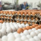 Alimento.- El clima también afecta la producción de huevos en Taiwán.