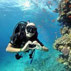 Actividad. Janice comenzó a bucear en su clase de biología marina en el 2017. Le encanta nadar junto a especies marinas, incluso, tiburones.