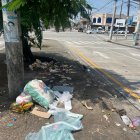 La basura es desechada en Sauces 5, en la avenida Antonio Parra Velasco