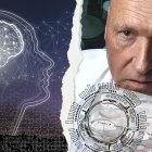 Thomas Hartung aparece mostrando organoides de cerebro en su laboratorio de la universidad Johns Hopkins (EE. UU.).