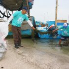 Santa Rosa. Los pescadores artesanales colaboraron en la iniciativa.