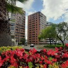 Antiguos. Existen edificios de hace años, algunos remodelados y también construcciones más modernas. Los rótulos de venta o arriendo están en muchos de los departamentos.