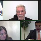 Sesión virtual del Pleno del Consejo Nacional Electoral.