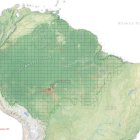 Mapa de la Amazonía en el que se aprecia en rojo la pérdida de bosques observada.