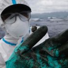 Un pescador con un traje protector muestra el vertido de petróleo que asola las costas de Pola, en la isla de Mindoro, Filipinas este lunes. Las autoridades filipinas temen que el vertido tóxico, que ya ha llegado varias islas del centro del archipiélago tras el hundimiento de un carguero el pasado martes, pueda afectar a la isla de Boracay, el destino turístico más importante del país. EFE/ Francis R. Malasig