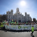 Los manifestantes contra el aborto, delante del Ayuntamiento de Madrid