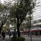 Poste. En el sector de La Mariscal, los árboles cubren las luminarias. Por las noches son zonas oscuras donde se vende droga y se ejerce la prostitución.