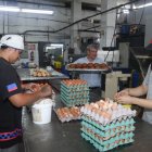 Producción. Personal se alista para iniciar la preparación de pan.