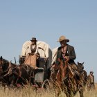 Tom Hanks, su esposa Rita Wilson y Billy Bob Thorton aparecen brevemente en la serie, en lo que llaman “cameos”.