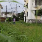 Situación. El monte ha tapado casi todo el parque del sector.3