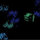 ESMFold, el sistema de IA desarrollado por Meta, ha logrado predecir la estructura de más de 740 millones de estas moléculas.