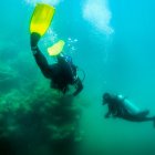 Superficie. Los arrecifes de coral, propios de aguas tropicales, tardan miles de años en crecer.
