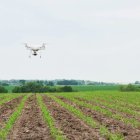 Los drones cuentan con un gps de precisión que ayuda al agricultor a conocer la superficie de su terreno