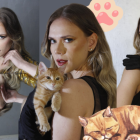 Cree su propia mirada felina como la de El Colorado