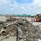 Estos son apenas algunos de los troncos que la comunidad ha retirado este fin de semana.