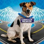 Emaseo pide mayor cuidado y atención a los propietarios.