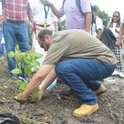 La primera siembra se realizó en la ciudad de Milagro.