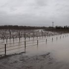 La inundación de viñedos y caminos rurales se presentan tras una reciente tormenta en Sonoma (California, EE.UU.).