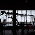 La casa de subastas Koller, esta a cargo de una polémica subasta. La veterana firma familiar pondrá a la venta los restos junto a otros “objetos extraordinarios”, como el traje de un cosmonauta soviético o un meteorito marciano.