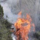 Unos bomberos trabajan este viernes en las tareas de extinción del incendio que comenzó esta madruga en las laderas del monte Naranco, en las cercanías del casco urbano de Oviedo. El gerente de Bomberos de Asturias, Óscar Rodríguez, ha afirmado este viernes en declaraciones a los medios que la oleada de incendios forestales provocados que se vienen registrando en Asturias en los últimos días constituye algo "inaudito" que nunca había visto en toda su carrera profesional. EFE/ J.L. Cereijido