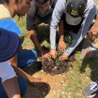 Las especies fueron plantadas en la cooperativa Julio Col 2.