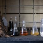 Fotografía de las etapas para convertir hoja de plátano en celulosa.