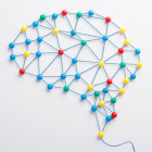 El nuevo atlas neuronal de la larva de la mosca del vinagre incluye 3.016 neuronas.