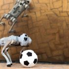 El robot puede circular sin problemas por terrenos en los que nunca ha estado. Si se cae, es capaz de levantarse sin ayuda.