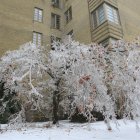 Una de las áreas más afectadas por el corte del suministro eléctrico es la ciudad de Montreal,