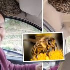 Millones de personas han visto las grabaciones, publicadas en la plataforma Douyin -versión de TikTok para el mercado chino.