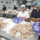 El camarón es uno de los productos con mayor potencial de venta.