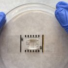 La barrera hematoencefálica en un chip para estudiar fármacos contra el alzhéimer