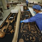 Investigación. Un forense de medicina legal analiza un esqueleto, en Bogotá.