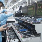 El país asiático busca que la oferta ecuatoriana eleve también su calidad.