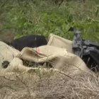 4 muertos_Captura de video Youtube