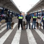Control. Los canes asisten a los supervisores de seguridad en dar cumplimiento a las normas de seguridad, evitando los altercados entre pasajeros y detectando armas blancas y estupefacientes.