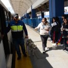 Equipo. Los canes de la patrulla K9 fueron adoptados de las estaciones del Trole y la Ecovía.