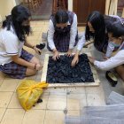 Proyecto. El año pasado fue aplicado en 15 ciudades del país.