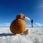 Kimberley y su peluche Kiwi viajan solos. La joven es originaria de Auckland, Nueva Zelanda