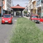 Las jardineras que separan la vía exclusiva por donde pasarán las unidades están llenas de maleza.