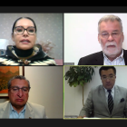 El cronograma fue aprobado por el Pleno en sesión virtual.